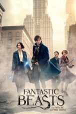 Fantastic Beast